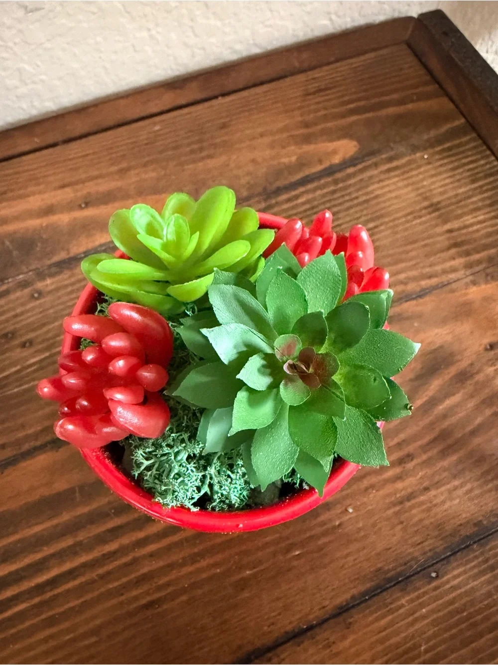 Red Ceramic Succulent Planter